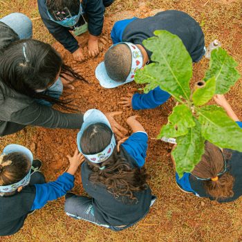 52136077853_42c0695864_k-1-1